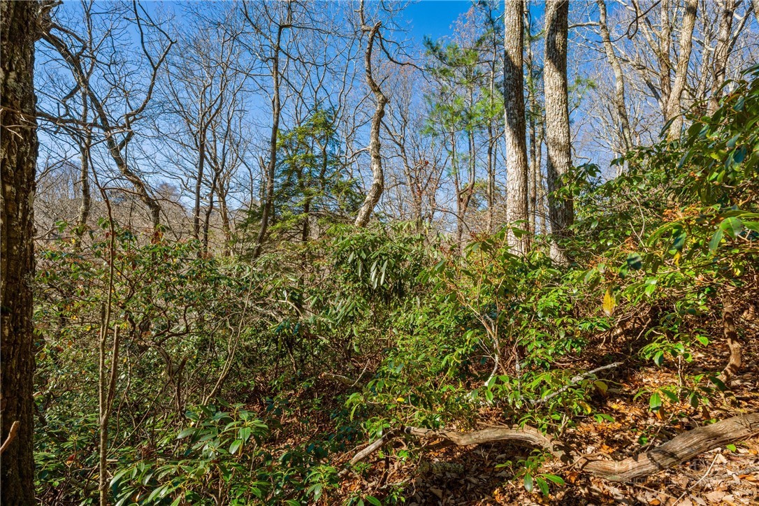 Lot 61 Boone Coffey Trail Property Photo 11
