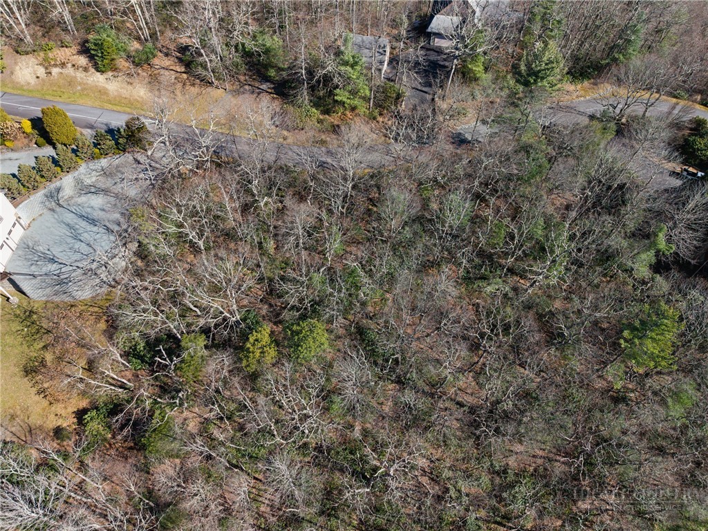 Lot 61 Boone Coffey Trail Property Photo 14