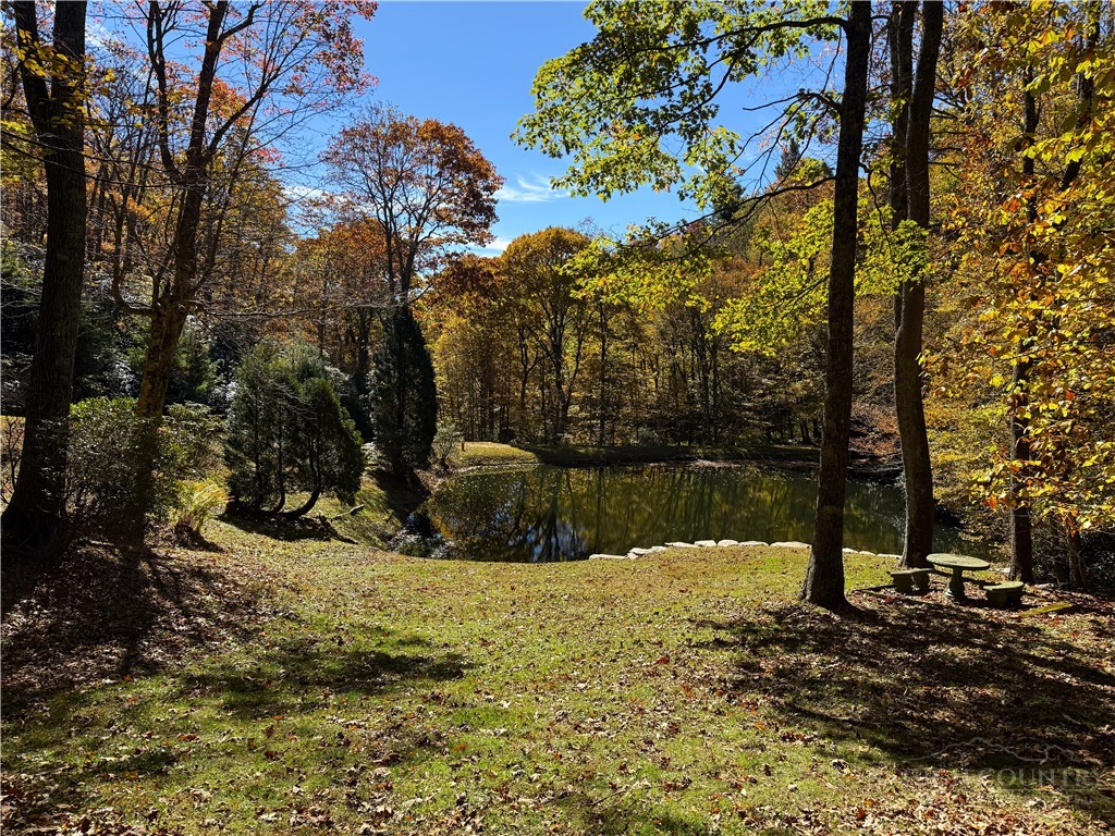 Lot 61 Boone Coffey Trail Property Photo 18