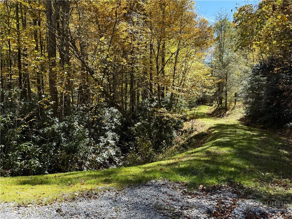 Lot 61 Boone Coffey Trail Property Photo 21