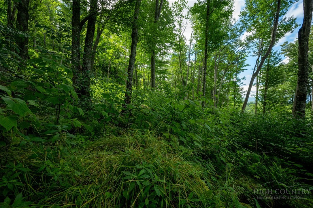 Es16 Eagle Feather Trail Property Photo 4