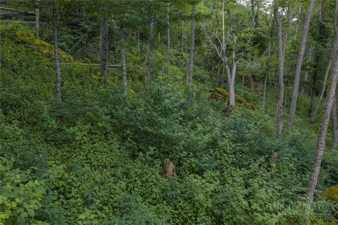 Es16 Eagle Feather Trail Property Photo 9