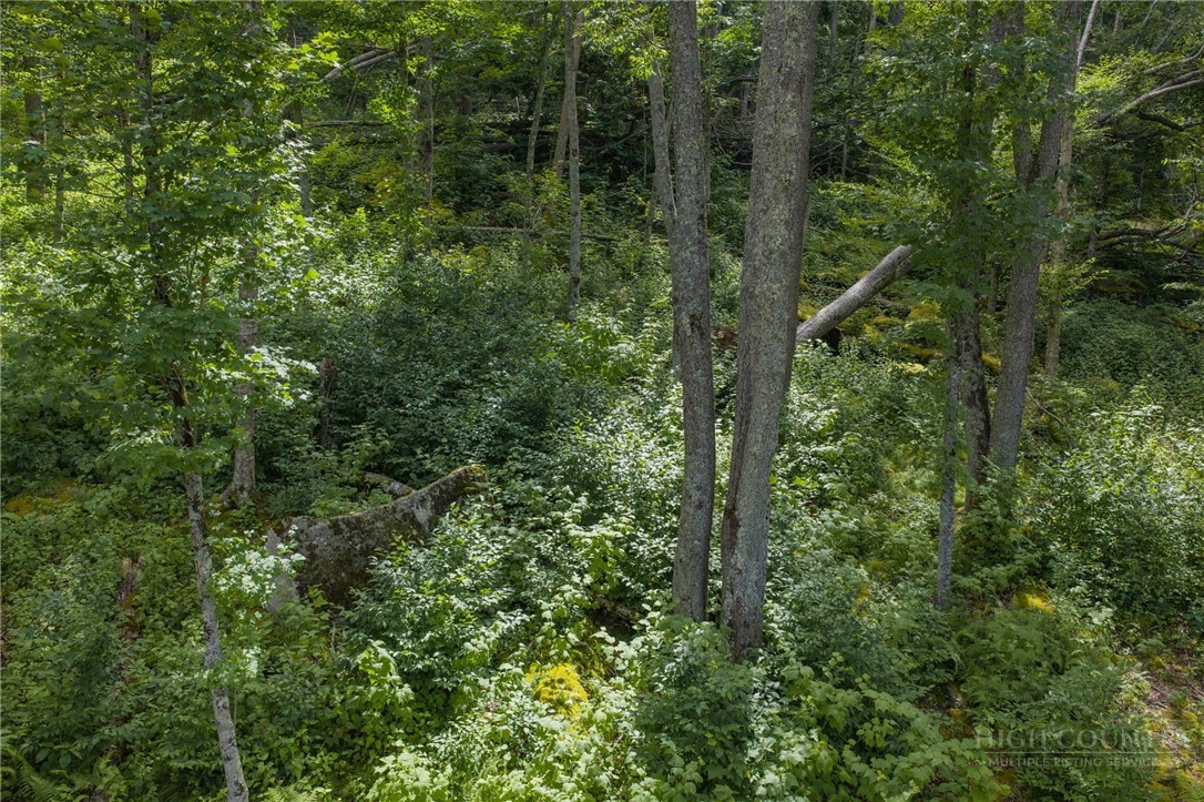 Es16 Eagle Feather Trail Property Photo 17