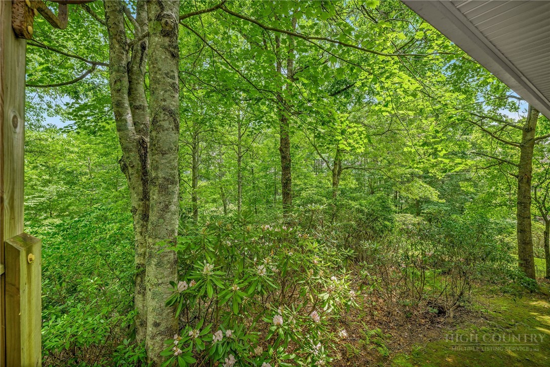 657 Wolfpack Drive Property Photo 23