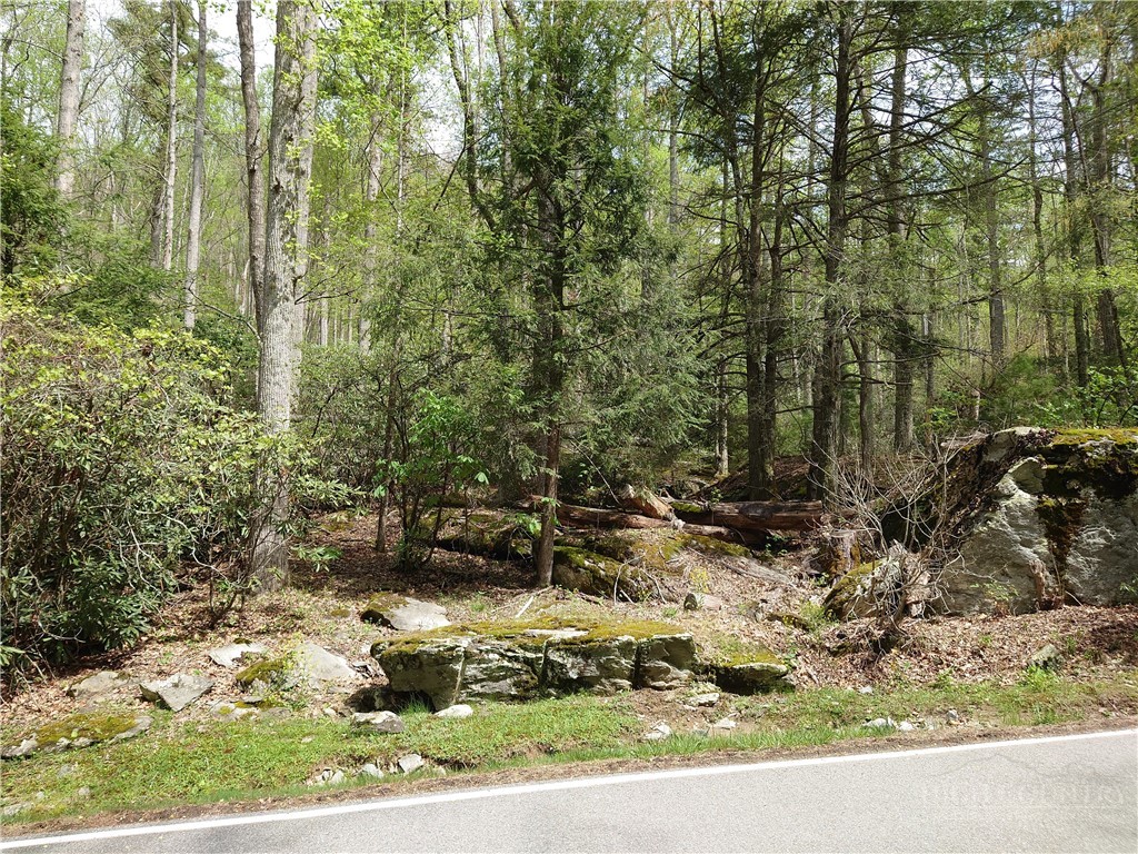 Tbd Evergreen Property Photo 1