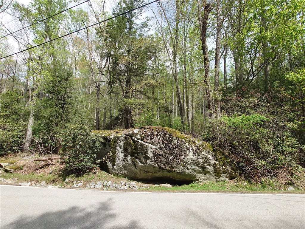 Tbd Evergreen Property Photo 2