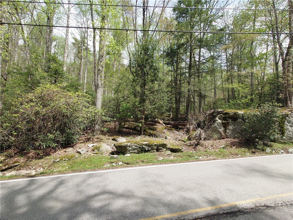 Tbd Evergreen Property Photo 3