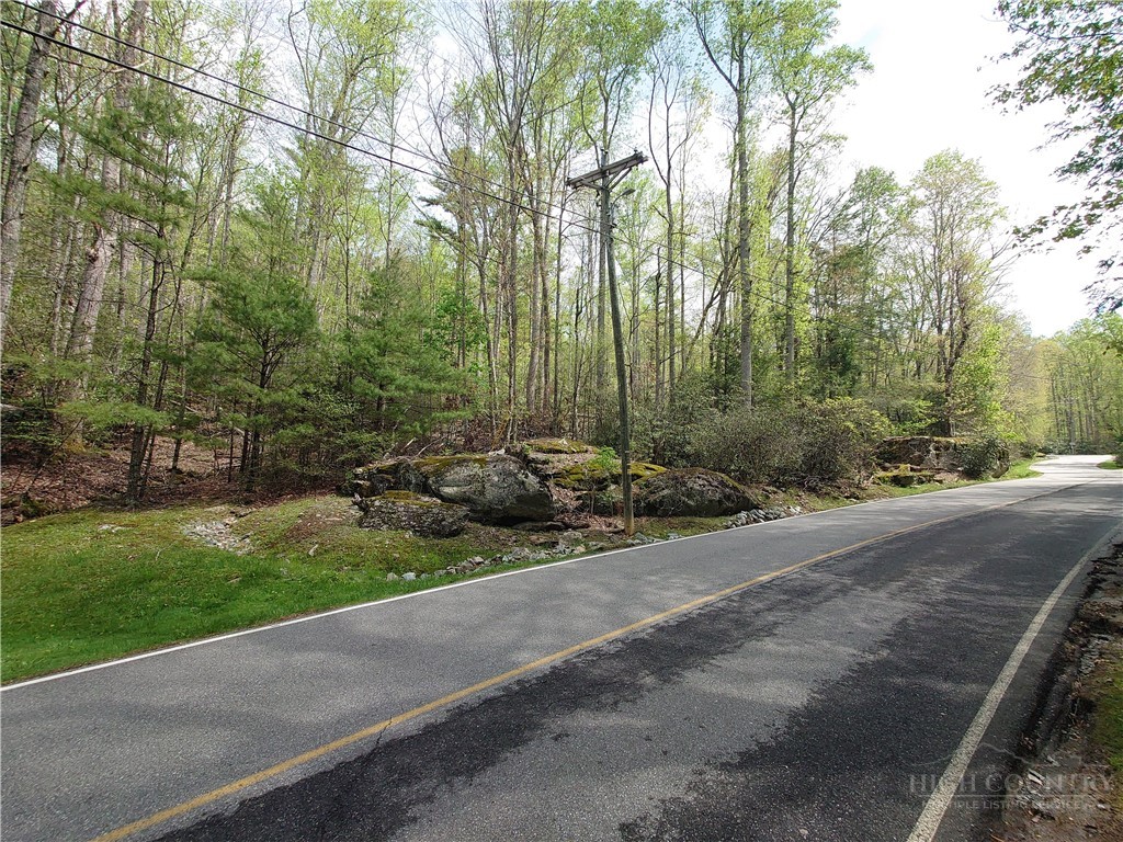 Tbd Evergreen Property Photo 4