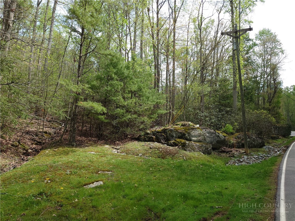 Tbd Evergreen Property Photo 5
