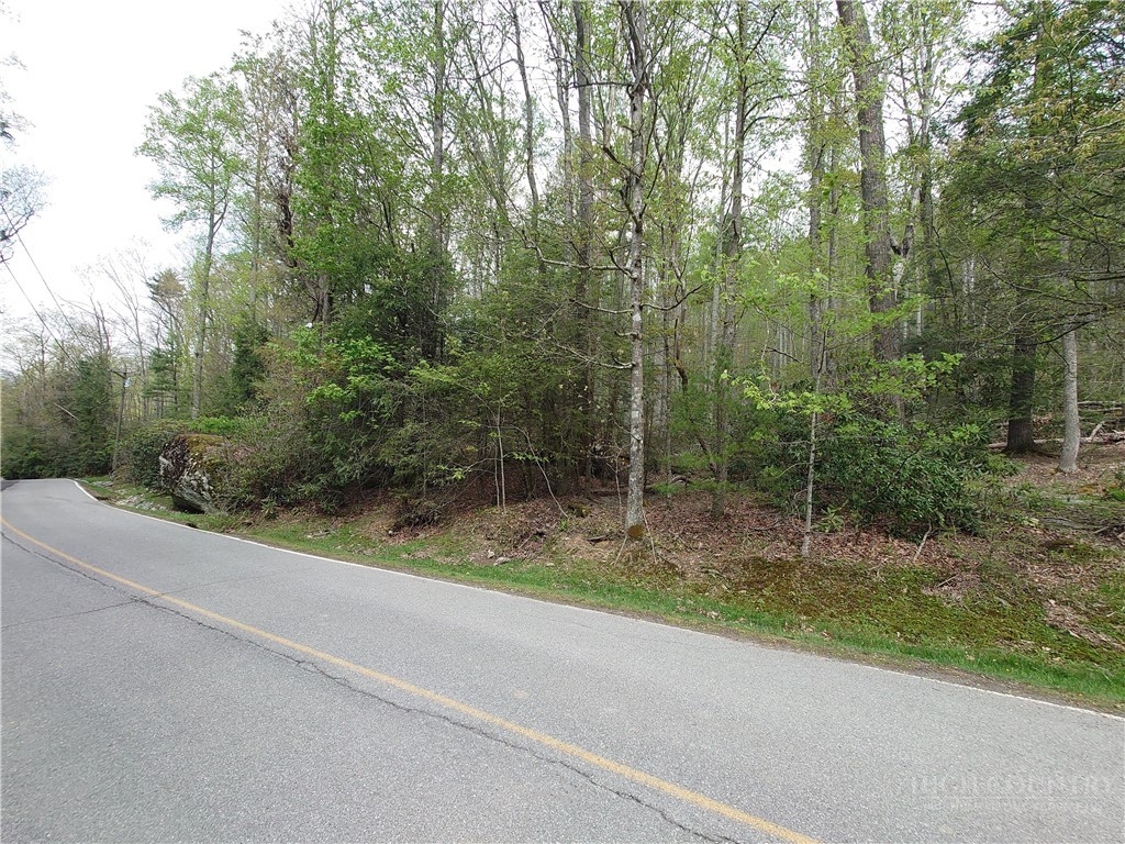 Tbd Evergreen Property Photo 8