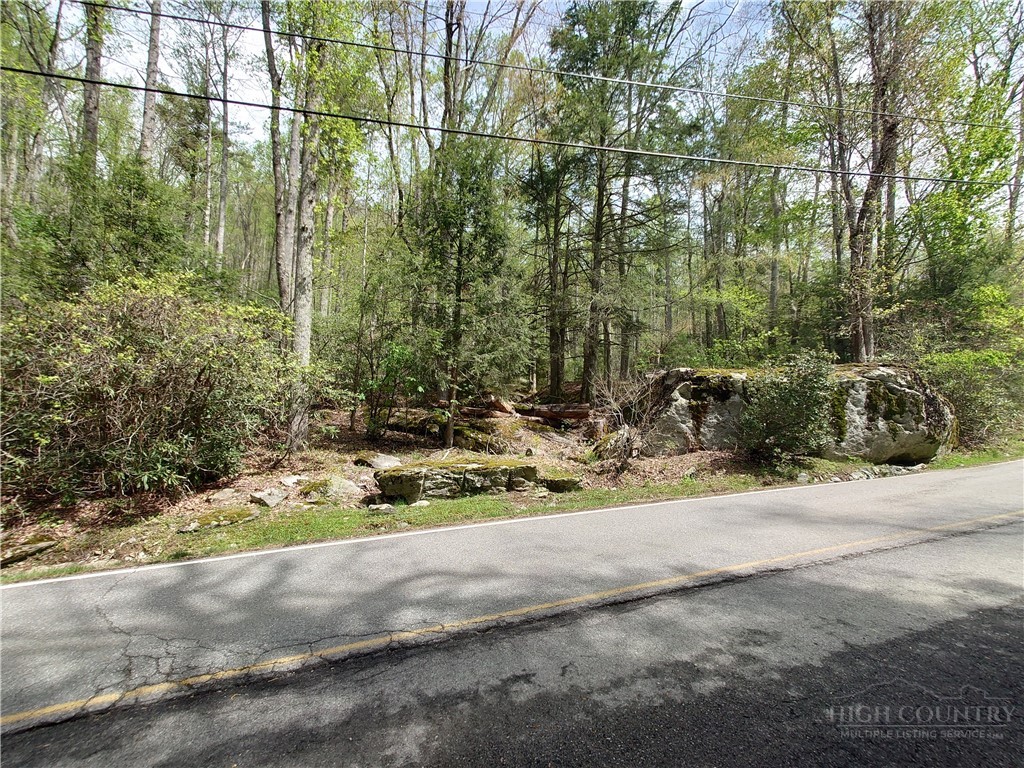 Tbd Evergreen Property Photo 9