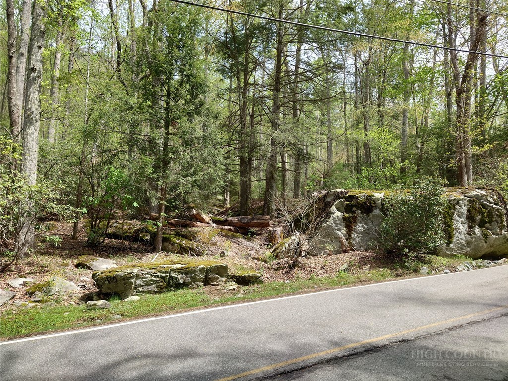 Tbd Evergreen Property Photo 10