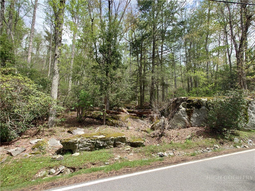 Tbd Evergreen Property Photo 11