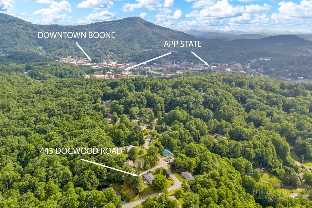443 Dogwood Road Property Photo 5