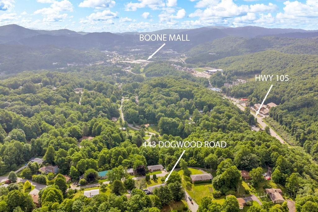 443 Dogwood Road Property Photo 6