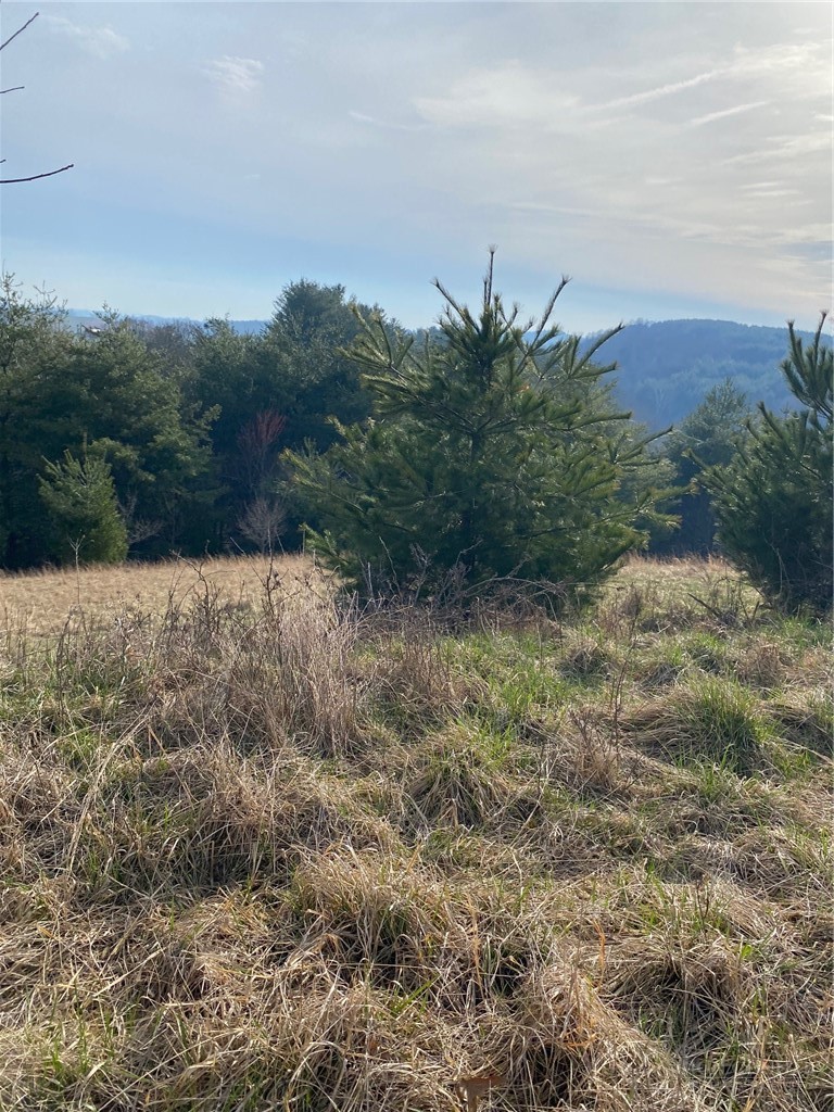 Tbd Autumn Glen Drive Property Photo 2