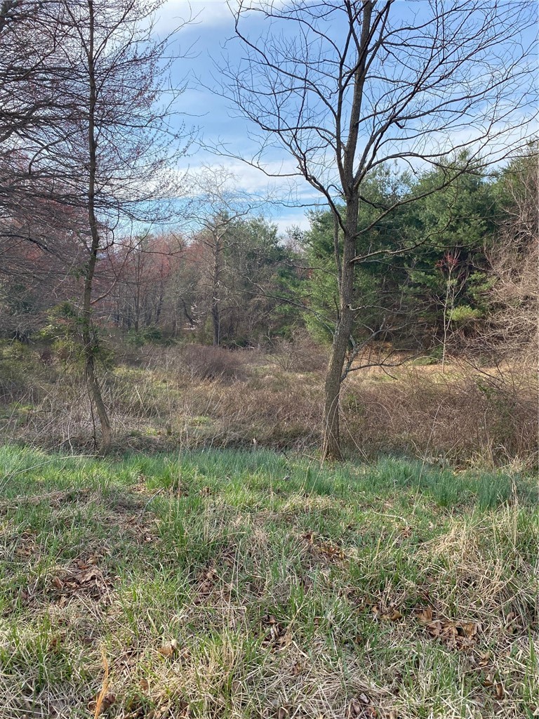Tbd Autumn Glen Drive Property Photo 1