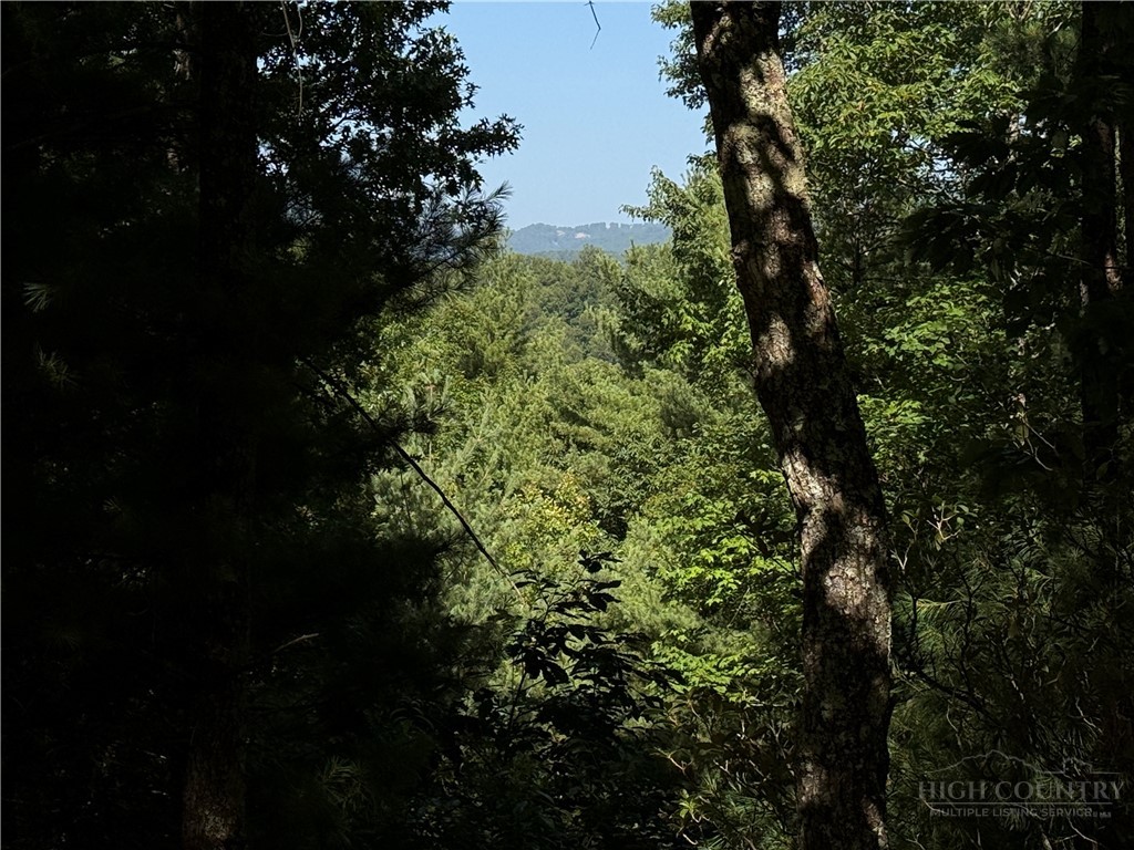 Lots 171 & 172b Blue Rock Road Property Photo 4