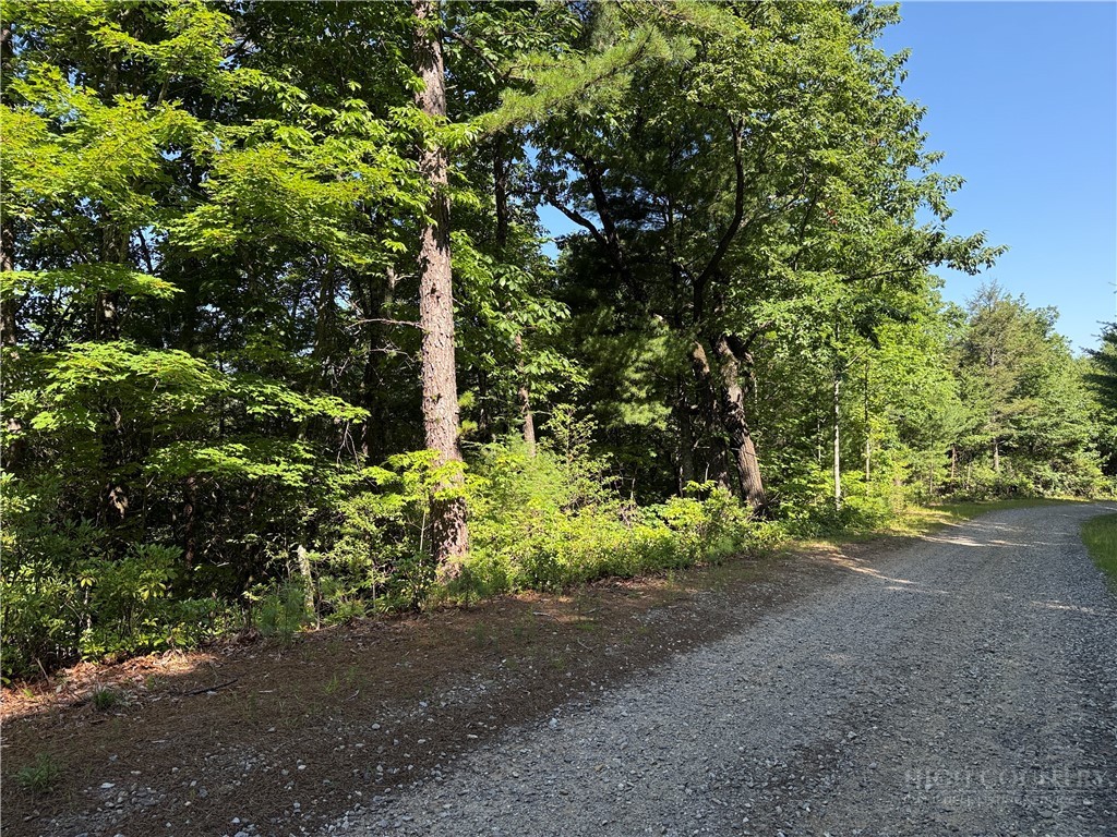 Lots 171 & 172b Blue Rock Road Property Photo 6