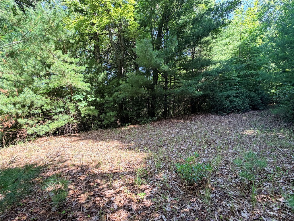 Lots 171 & 172b Blue Rock Road Property Photo 8