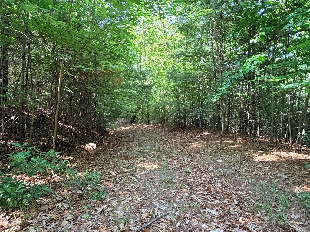 Lots 171 & 172b Blue Rock Road Property Photo 9