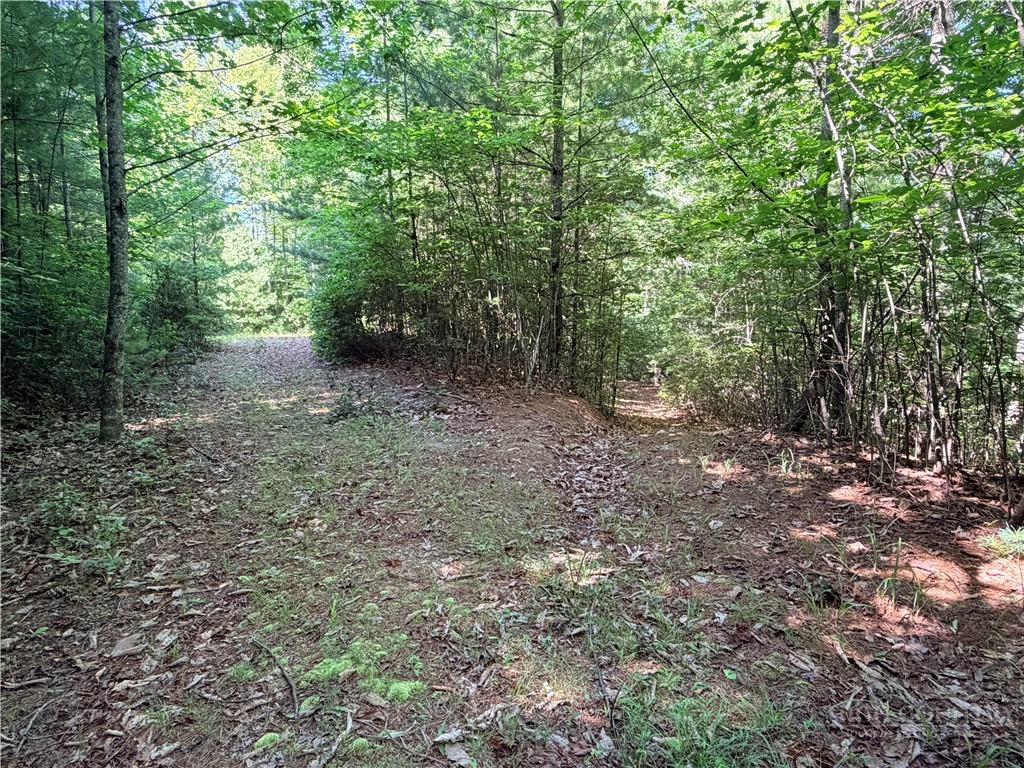 Lots 171 & 172b Blue Rock Road Property Photo 10