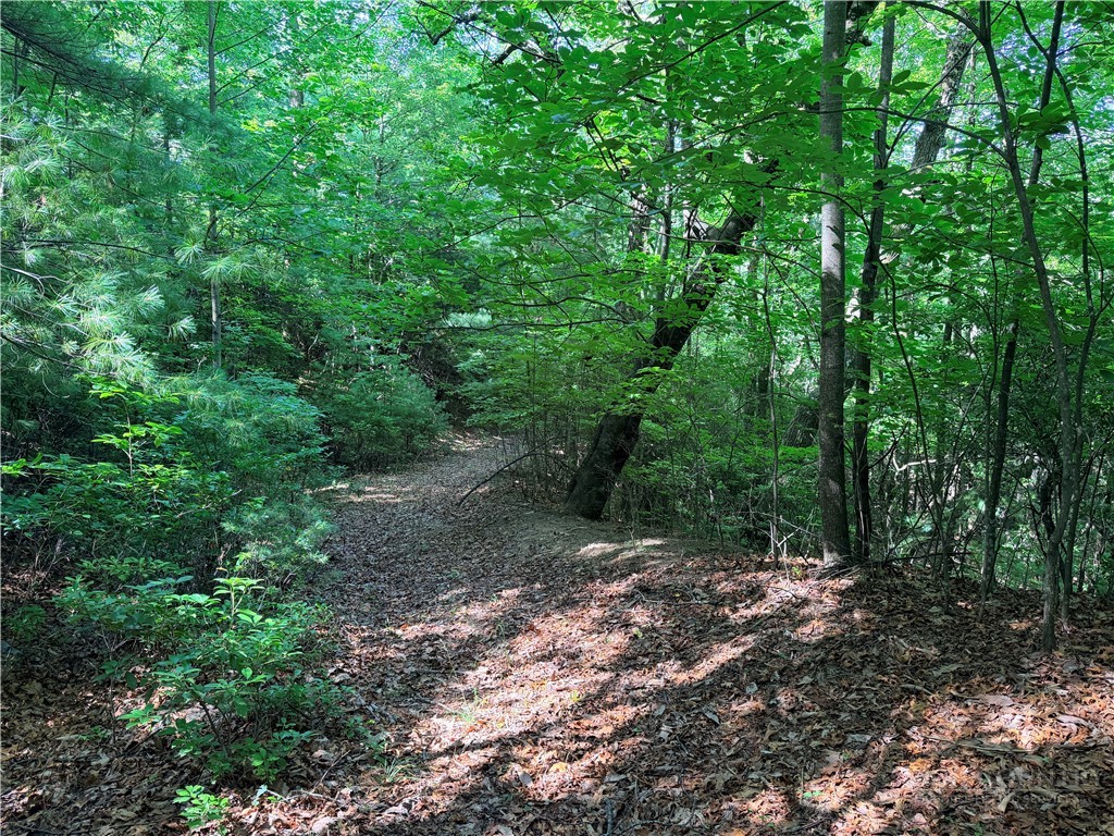 Lots 171 & 172b Blue Rock Road Property Photo 12