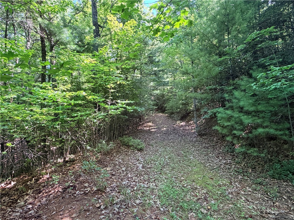 Lots 171 & 172b Blue Rock Road Property Photo 13