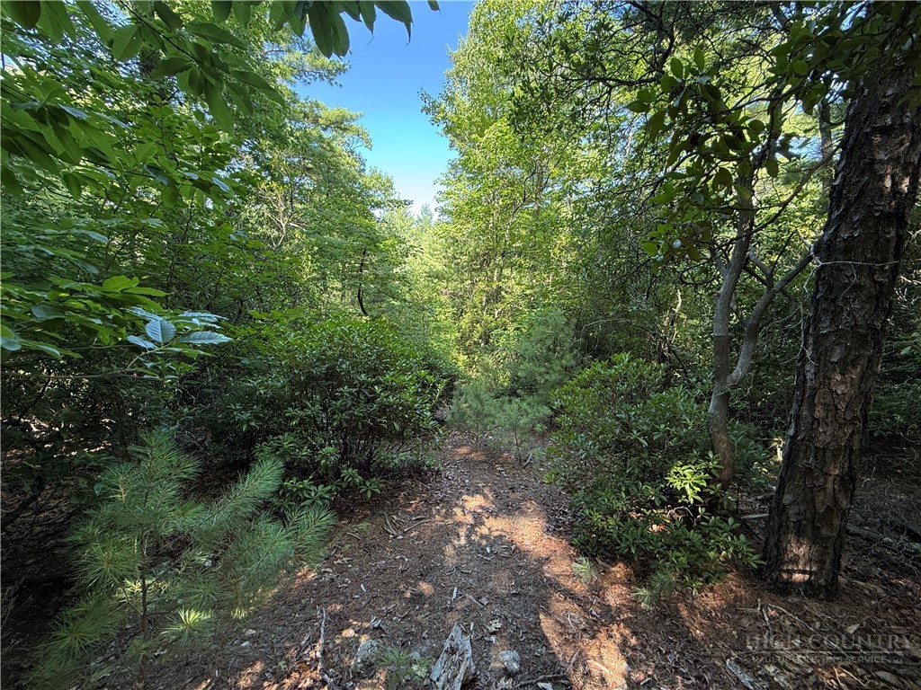 Lots 171 & 172b Blue Rock Road Property Photo 15