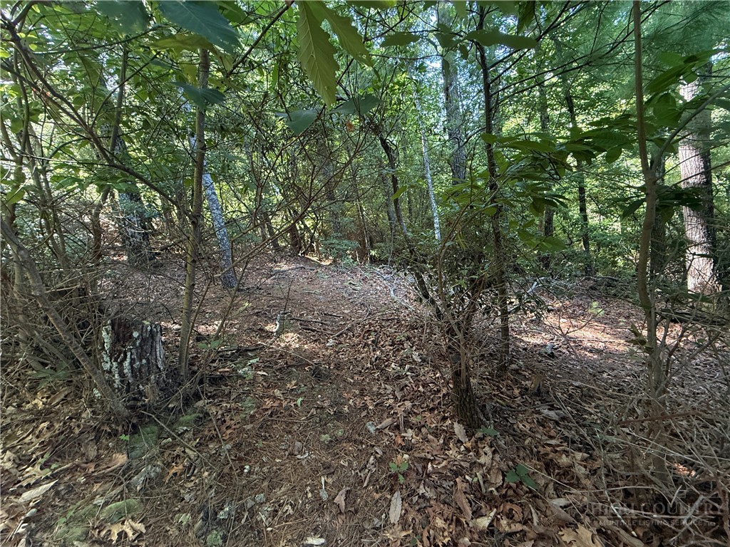 Lots 171 & 172b Blue Rock Road Property Photo 16