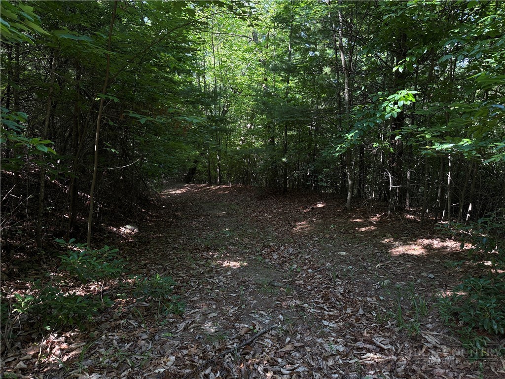 Lots 171 & 172b Blue Rock Road Property Photo 17
