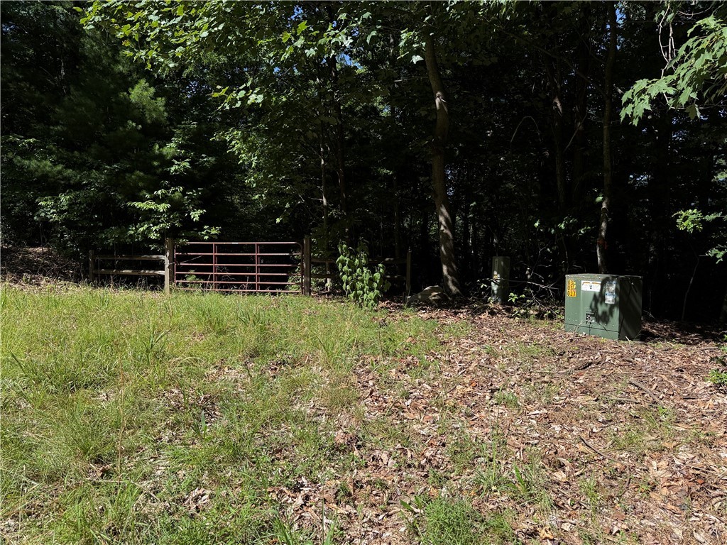 Lots 171 & 172b Blue Rock Road Property Photo 18