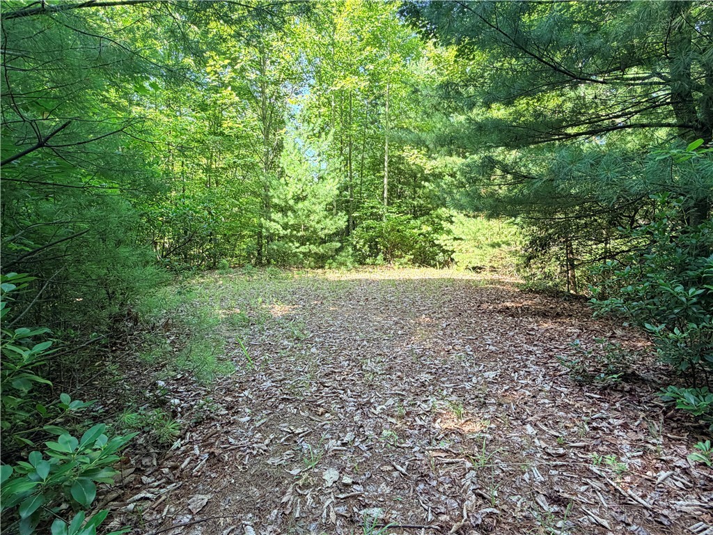 Lots 171 & 172b Blue Rock Road Property Photo 19
