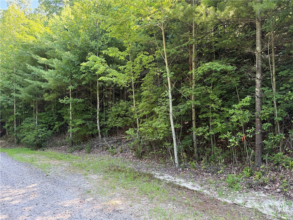 Lots 171 & 172b Blue Rock Road Property Photo 21
