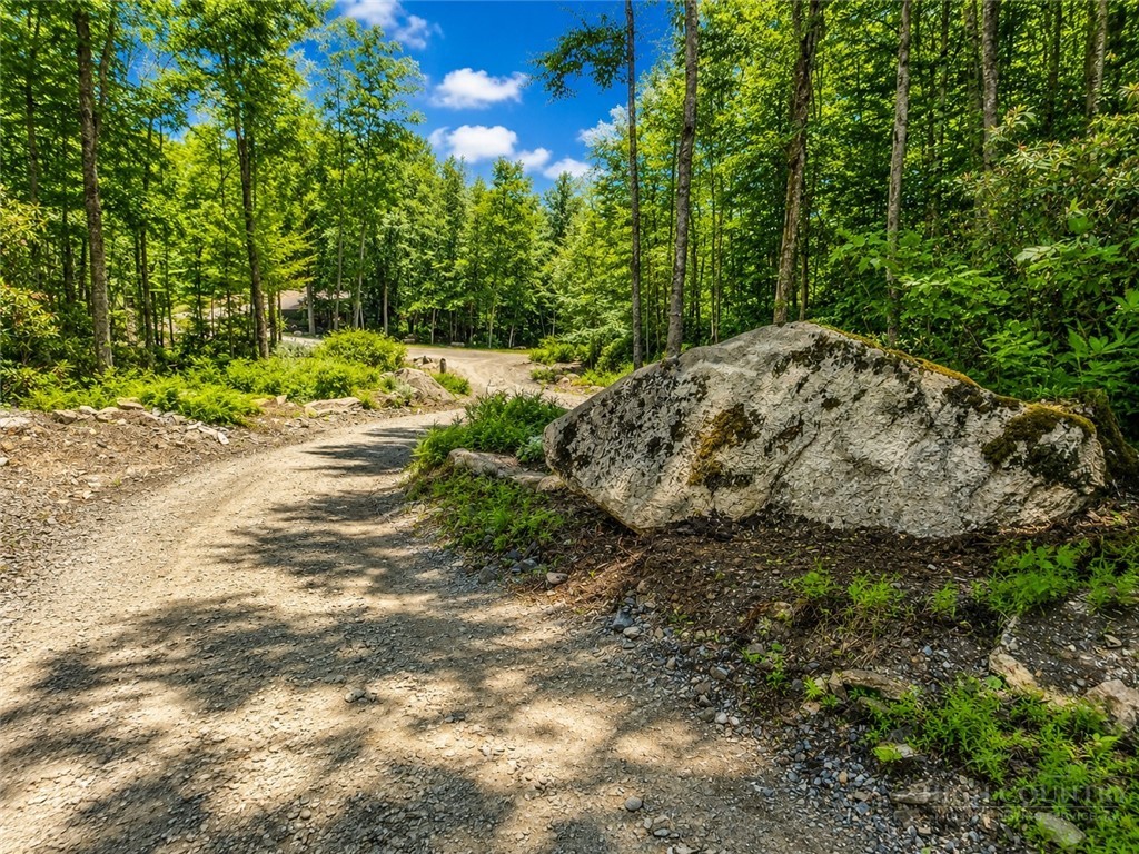 Lot #96 Eagles Nest Trail Property Photo 2
