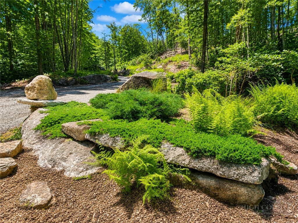 Lot #96 Eagles Nest Trail Property Photo 3