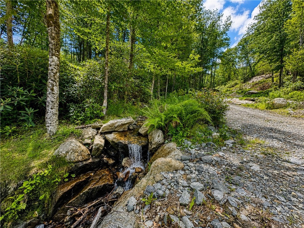 Lot #96 Eagles Nest Trail Property Photo 4