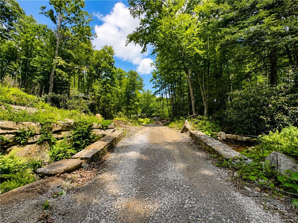 Lot #96 Eagles Nest Trail Property Photo 5