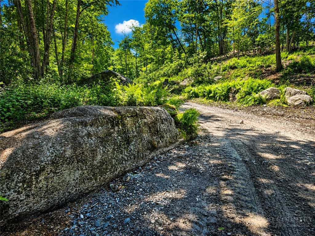 Lot #96 Eagles Nest Trail Property Photo 6