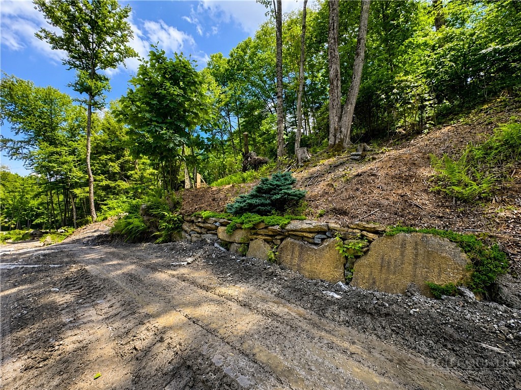 Lot #96 Eagles Nest Trail Property Photo 7