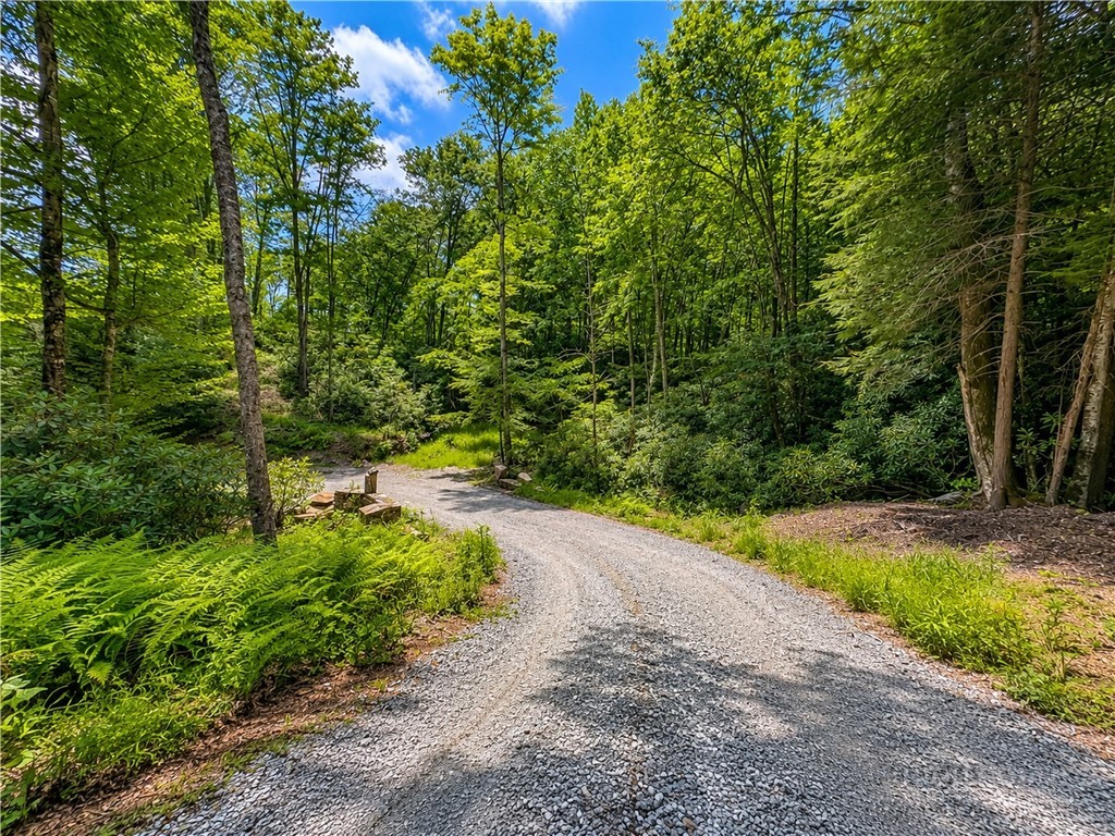 Lot #96 Eagles Nest Trail Property Photo 9