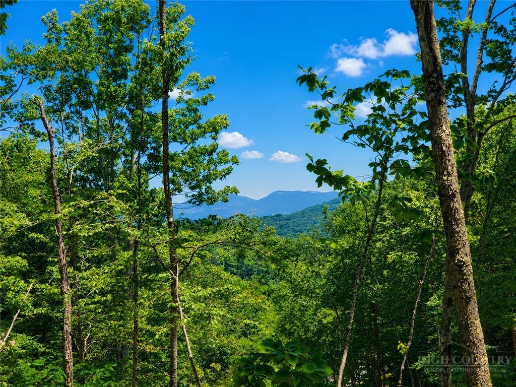 Lot #96 Eagles Nest Trail Property Photo 11