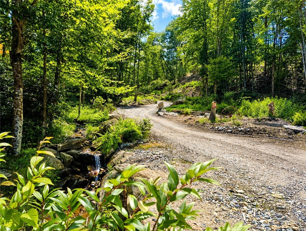 Lot #96 Eagles Nest Trail Property Photo 15