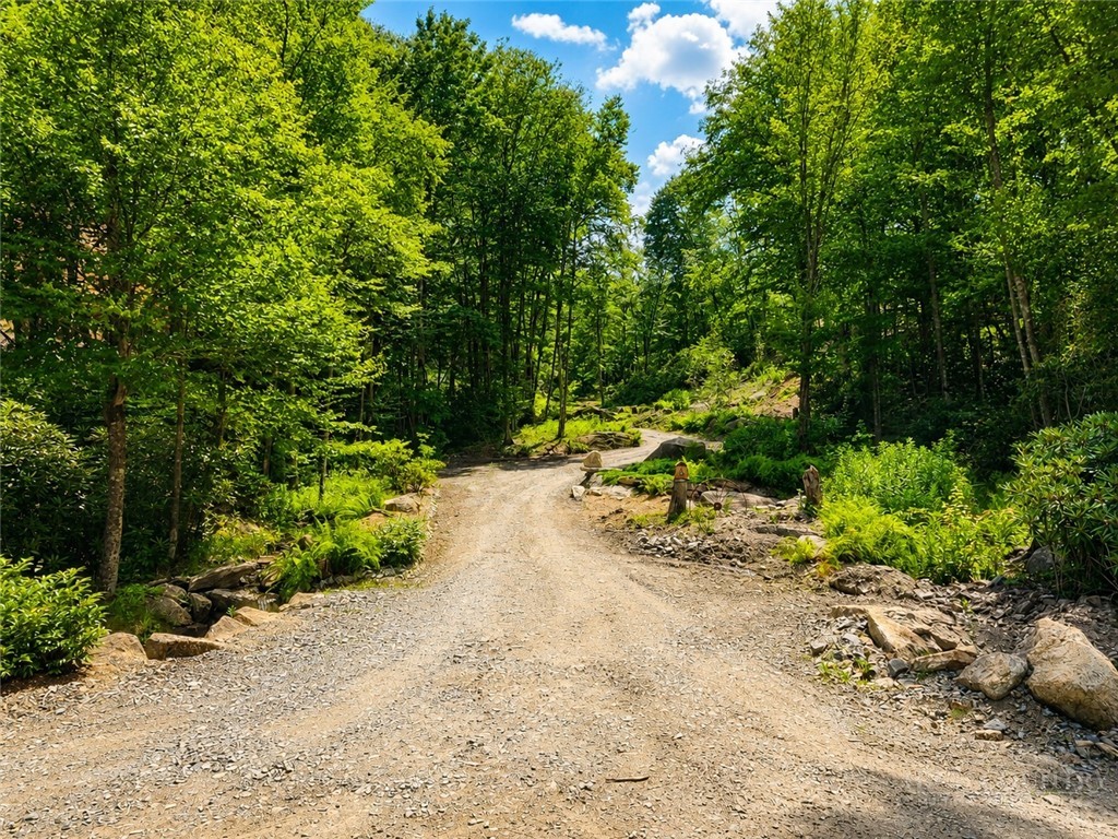 Lot #96 Eagles Nest Trail Property Photo 16