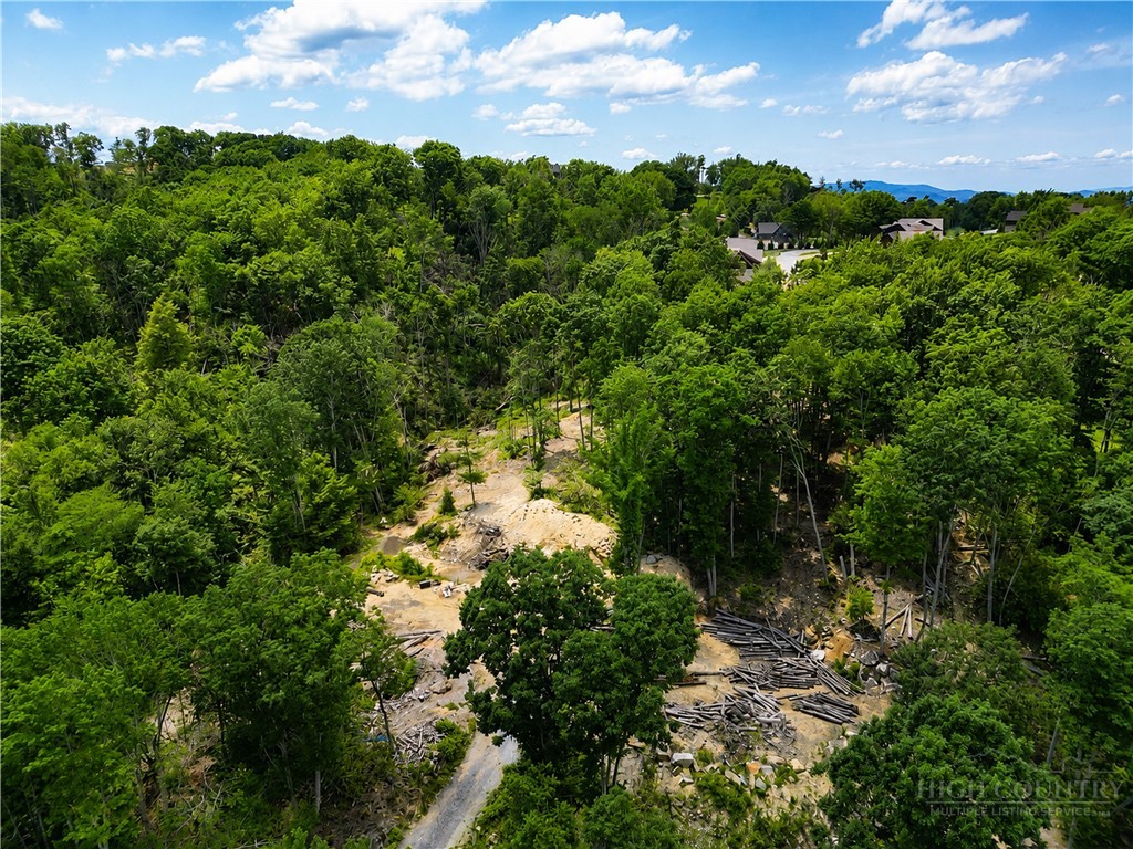 Lot #96 Eagles Nest Trail Property Photo 17
