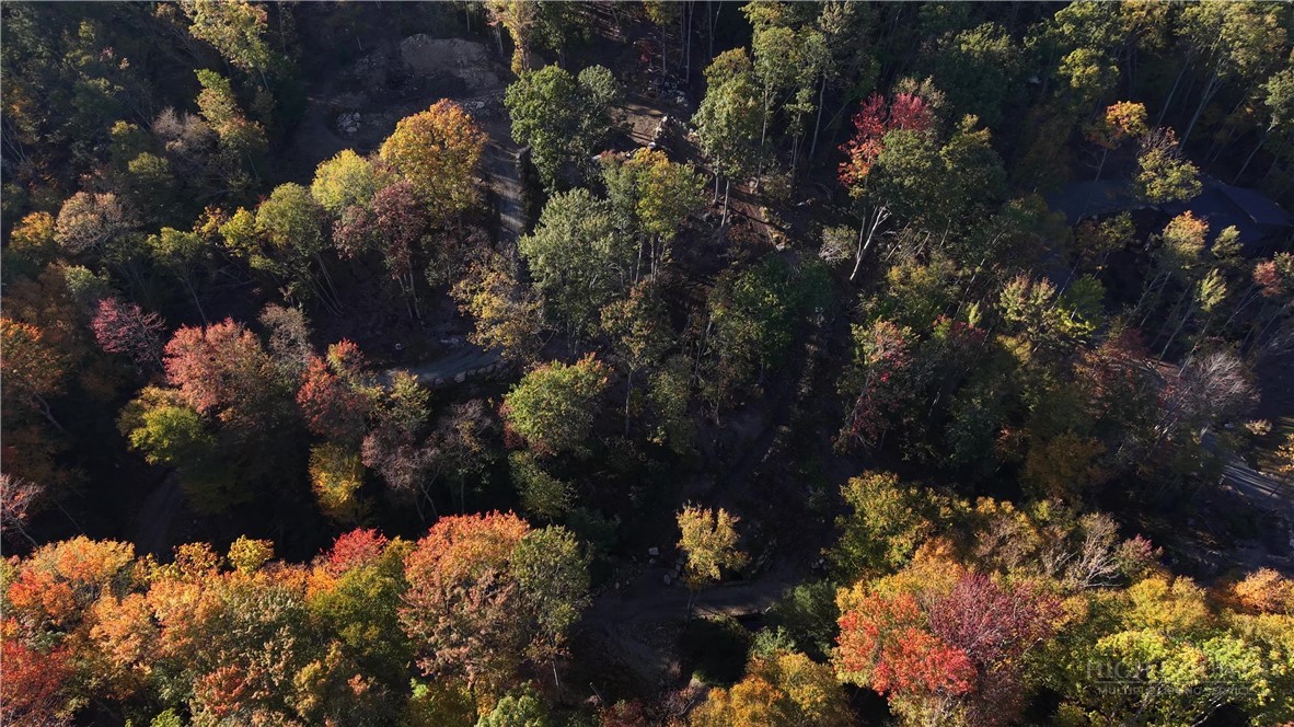 Lot #96 Eagles Nest Trail Property Photo 26