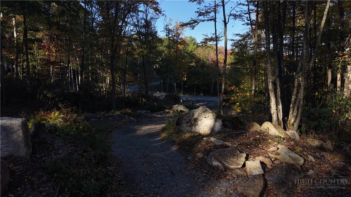 Lot #96 Eagles Nest Trail Property Photo 28