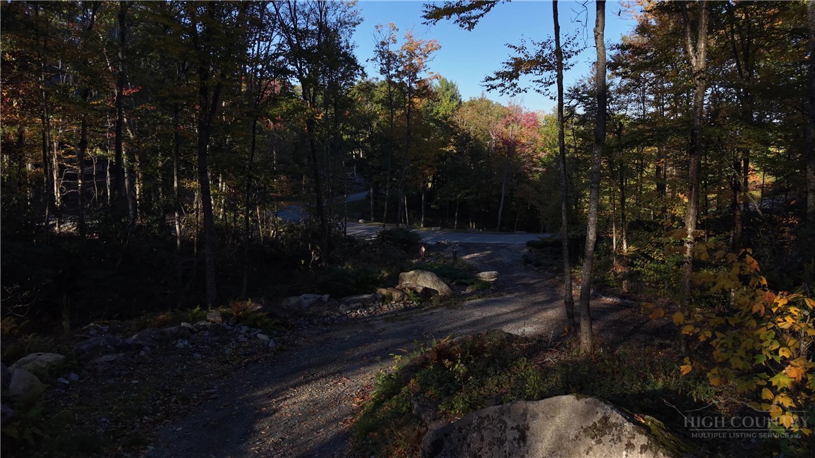 Lot #96 Eagles Nest Trail Property Photo 29