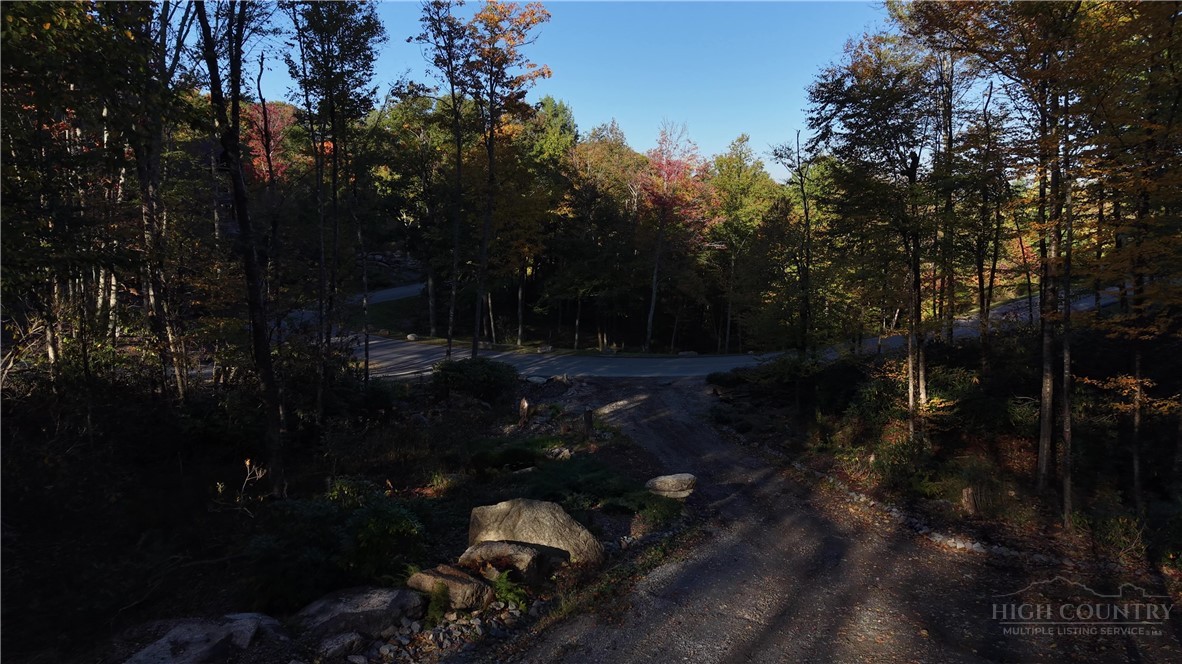 Lot #96 Eagles Nest Trail Property Photo 30
