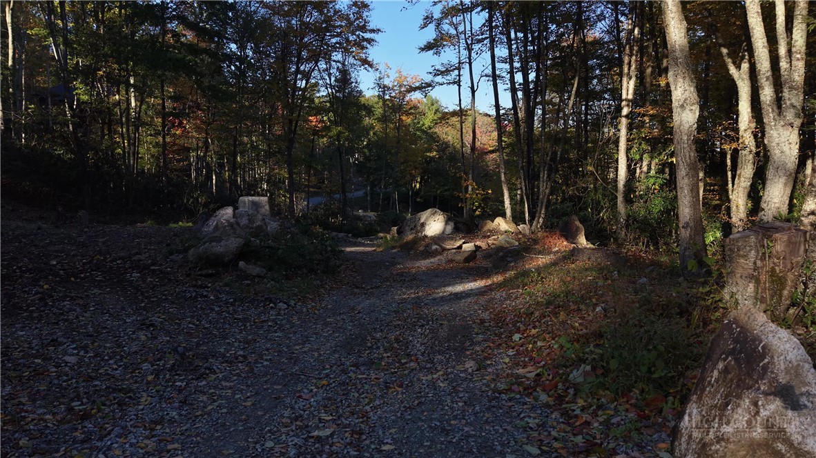 Lot #96 Eagles Nest Trail Property Photo 31
